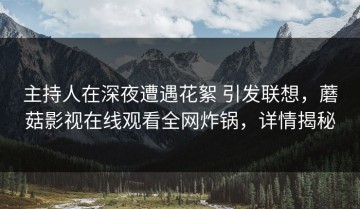主持人在深夜遭遇花絮 引发联想，蘑菇影视在线观看全网炸锅，详情揭秘