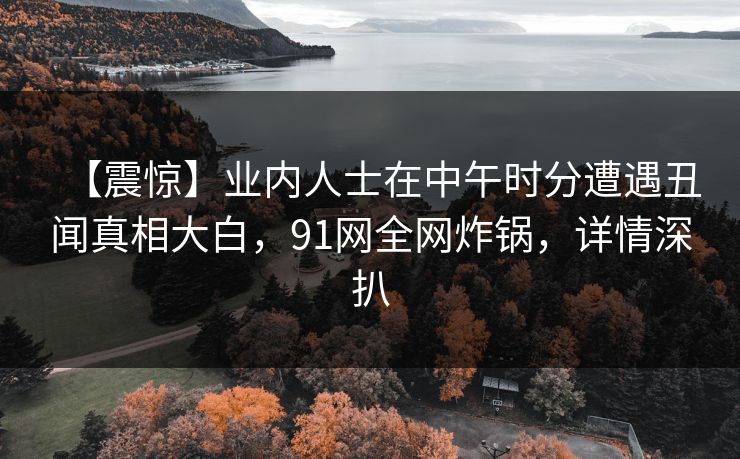 【震惊】业内人士在中午时分遭遇丑闻真相大白，91网全网炸锅，详情深扒