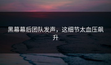 黑幕幕后团队发声，这细节太血压飙升