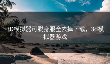 3D模拟器可脱身服全去掉下载，3d模拟器游戏