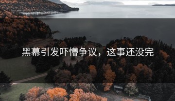 黑幕引发吓懵争议，这事还没完