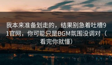 我本来准备划走的，结果别急着吐槽91官网，你可能只是BGM氛围没调对（看完你就懂）