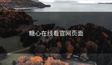 糖心在线看官网页面