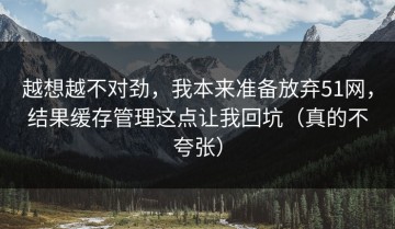 越想越不对劲，我本来准备放弃51网，结果缓存管理这点让我回坑（真的不夸张）