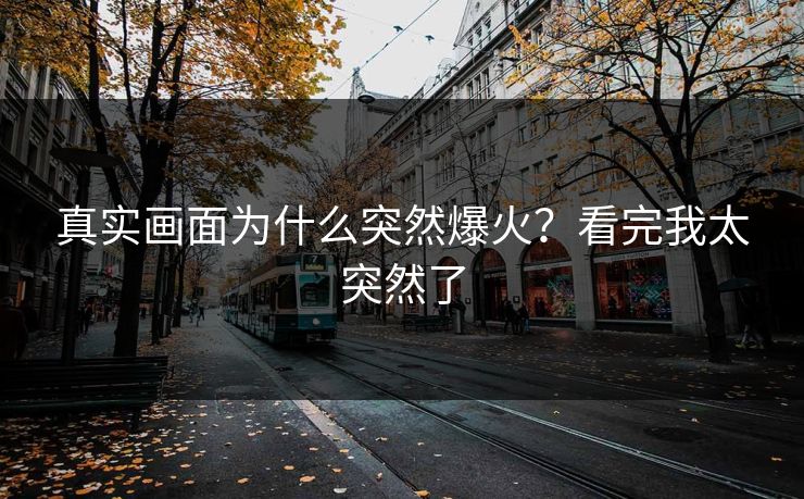真实画面为什么突然爆火？看完我太突然了