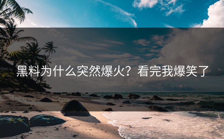 黑料为什么突然爆火？看完我爆笑了