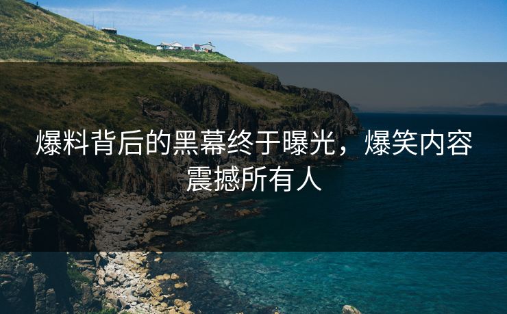爆料背后的黑幕终于曝光，爆笑内容震撼所有人