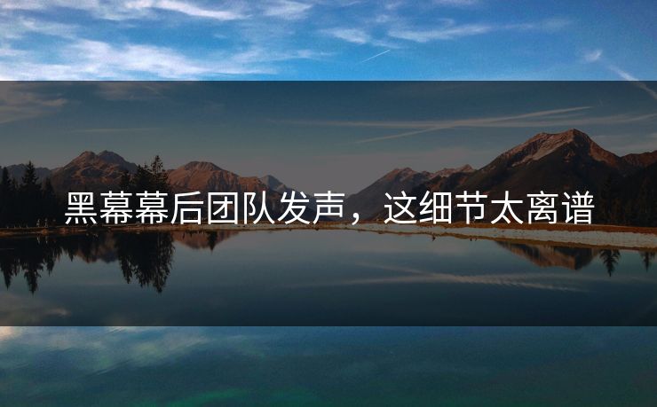 黑幕幕后团队发声，这细节太离谱