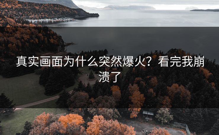 真实画面为什么突然爆火？看完我崩溃了