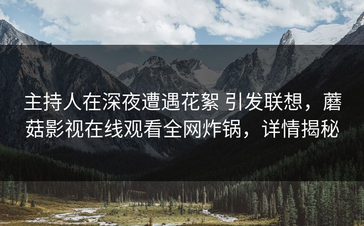 主持人在深夜遭遇花絮 引发联想，蘑菇影视在线观看全网炸锅，详情揭秘
