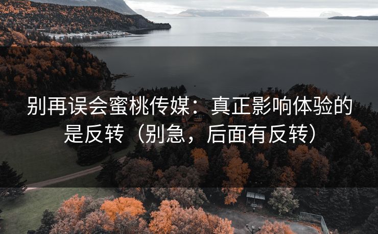 别再误会蜜桃传媒：真正影响体验的是反转（别急，后面有反转）