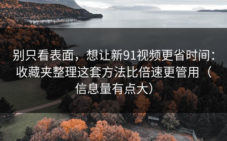 别只看表面，想让新91视频更省时间：收藏夹整理这套方法比倍速更管用（信息量有点大）